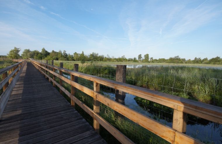 alt marais de sacy